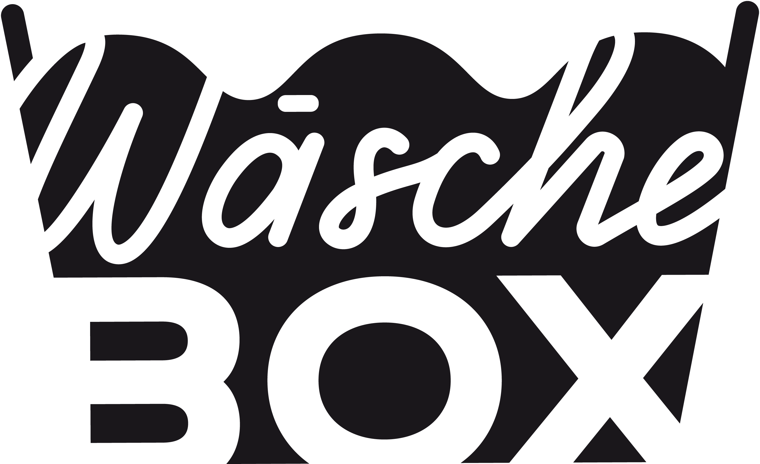Logo-DieWaeschebox.png